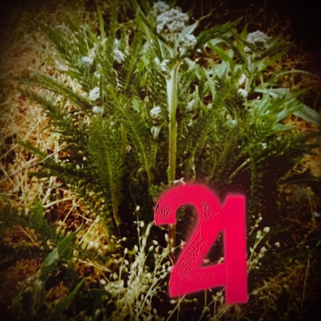 Sans Titre 21 ou 24 ? #achilée #jaipasenviedesavoir #idontwannaknow